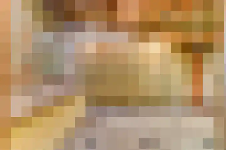 Julianastraat 28 Andel thumbnail 51