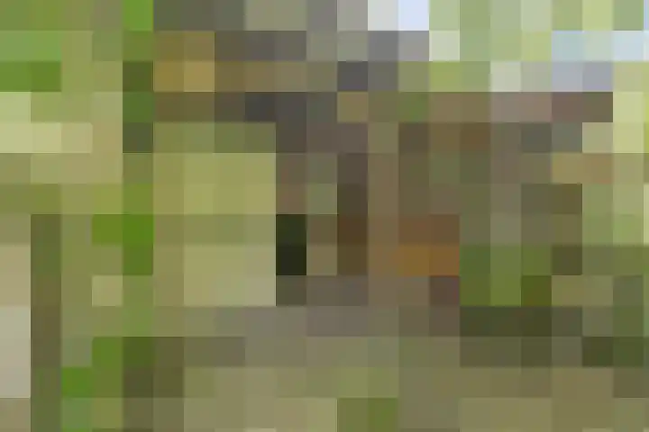 Julianastraat 28 Andel thumbnail 52