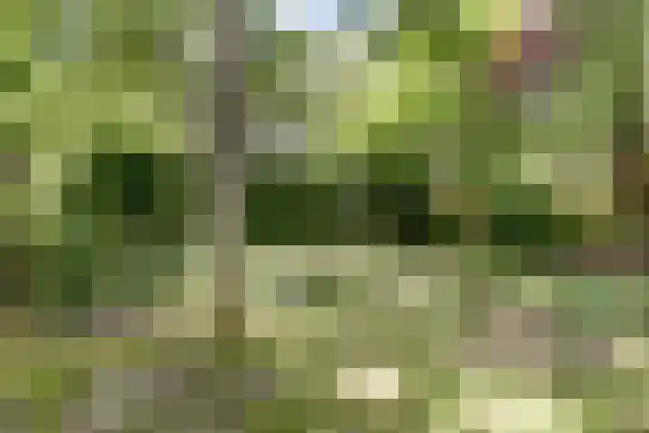 Julianastraat 28 Andel thumbnail 53