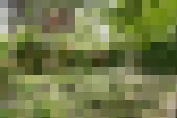 Julianastraat 28 Andel thumbnail 54