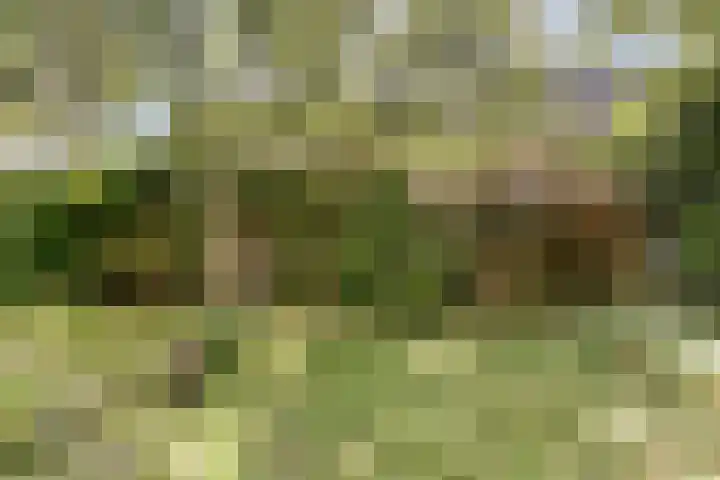 Julianastraat 28 Andel thumbnail 55