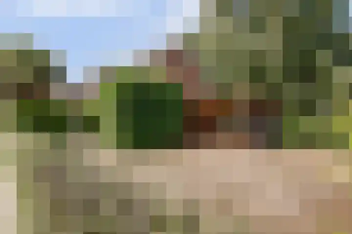 Julianastraat 28 Andel thumbnail 56