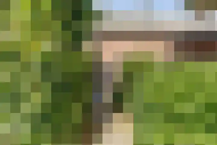 Julianastraat 28 Andel thumbnail 60