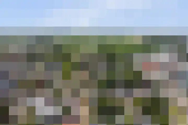 Julianastraat 28 Andel thumbnail 64