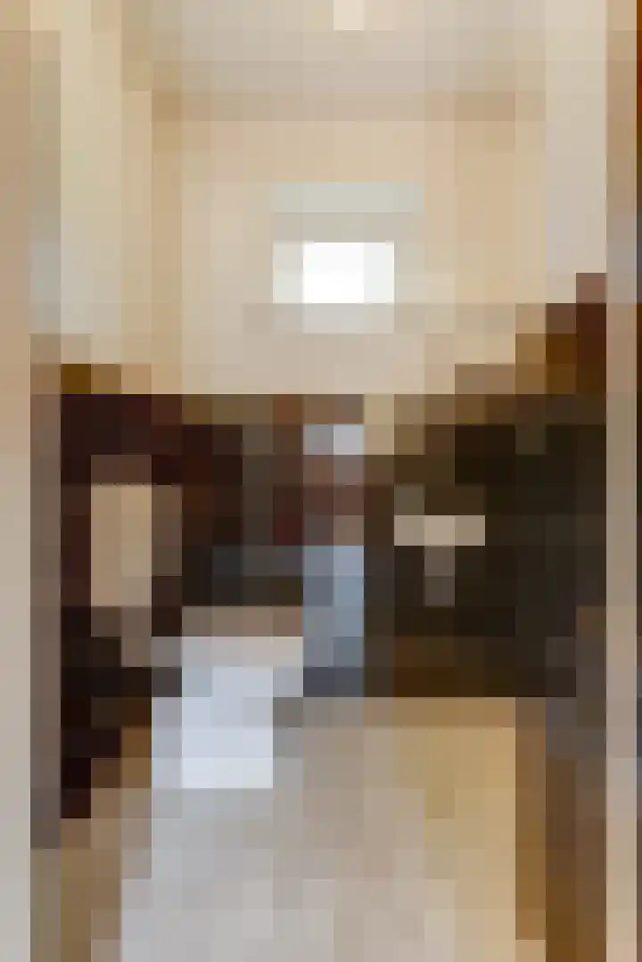Julianastraat 28 Andel thumbnail 65