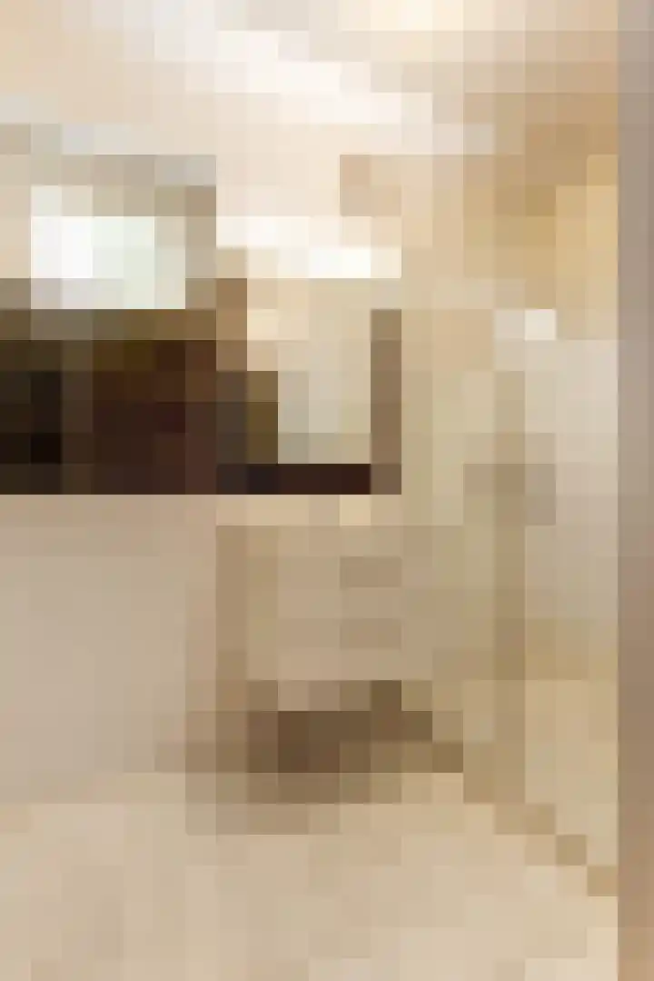 Julianastraat 28 Andel thumbnail 66