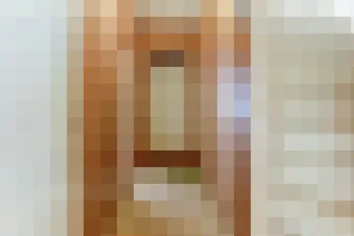 Julianastraat 28 Andel thumbnail 8
