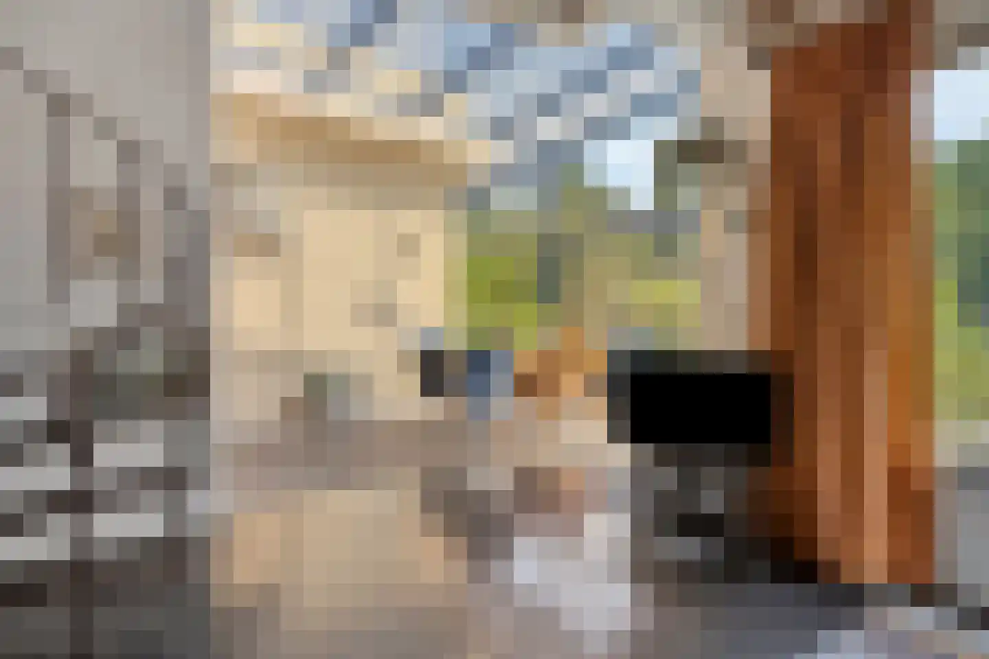 Julianastraat 28 Burgh-Haamstede thumbnail 12