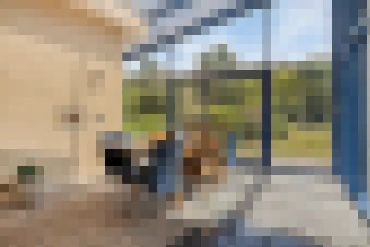 Julianastraat 28 Burgh-Haamstede thumbnail 22