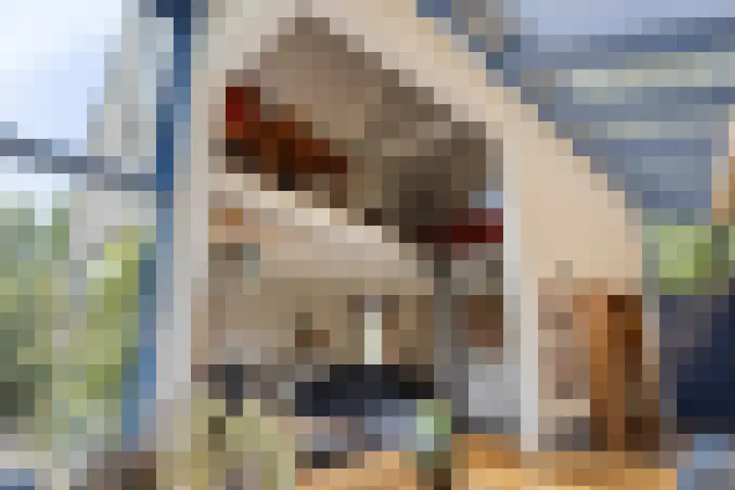 Julianastraat 28 Burgh-Haamstede thumbnail 25