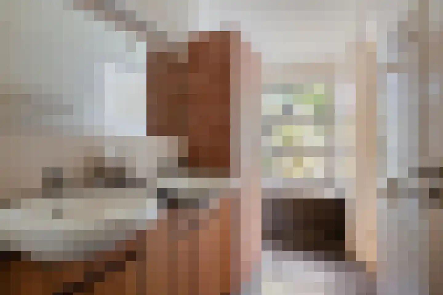 Julianastraat 28 Burgh-Haamstede thumbnail 30
