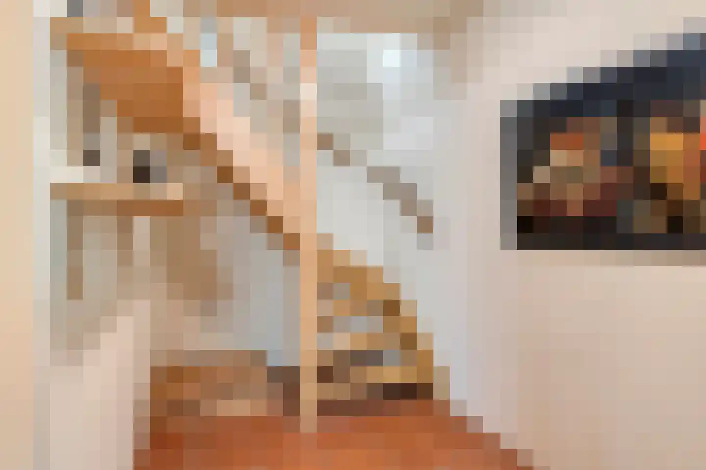 Julianastraat 28 Burgh-Haamstede thumbnail 39