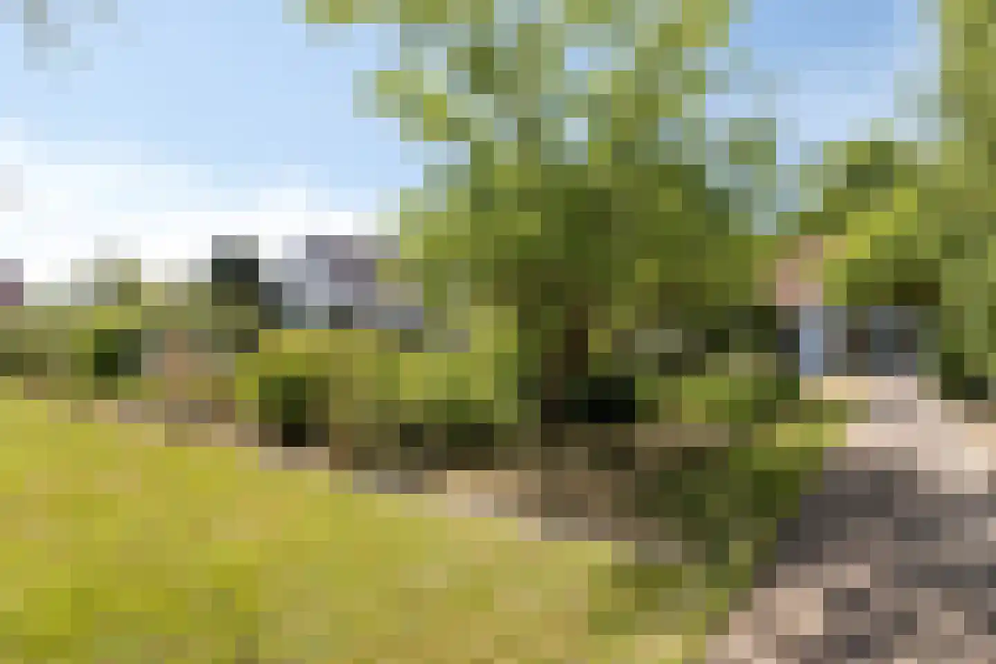 Julianastraat 28 Burgh-Haamstede thumbnail 4