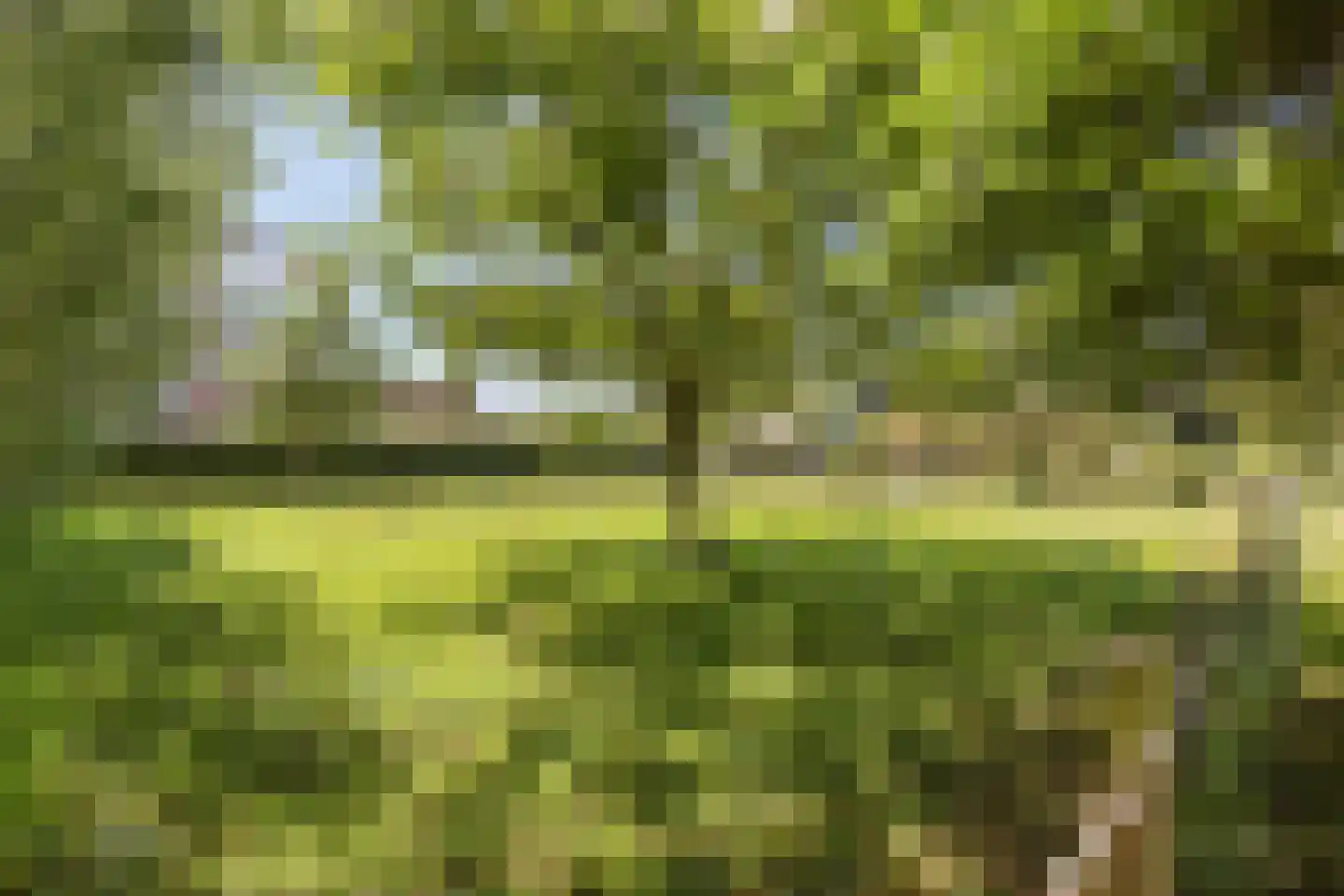 Julianastraat 28 Burgh-Haamstede thumbnail 47
