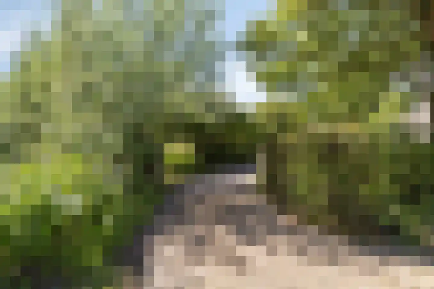Julianastraat 28 Burgh-Haamstede thumbnail 53