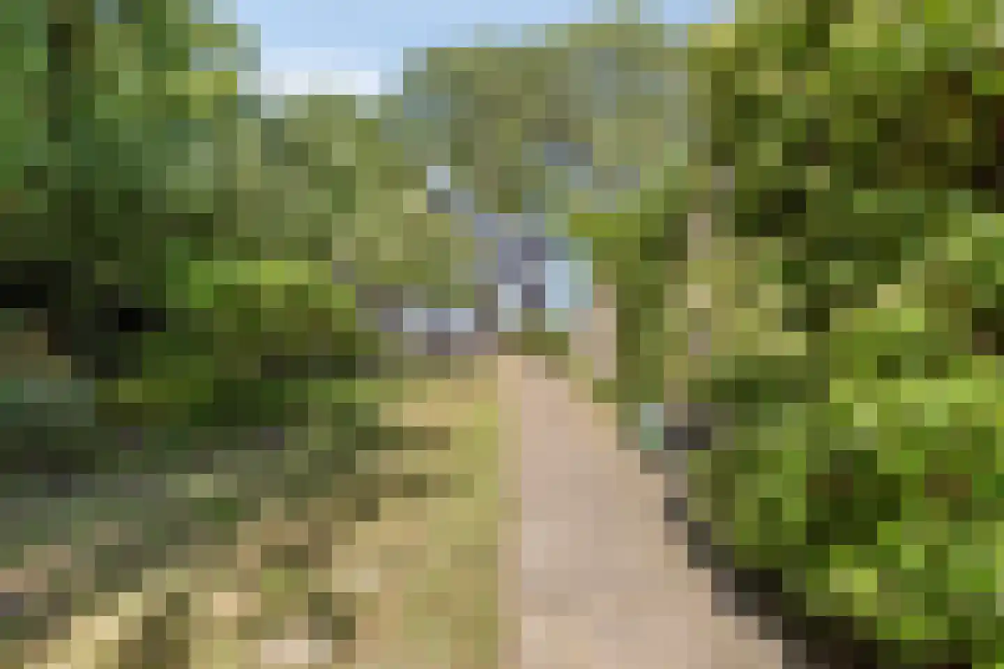 Julianastraat 28 Burgh-Haamstede thumbnail 59