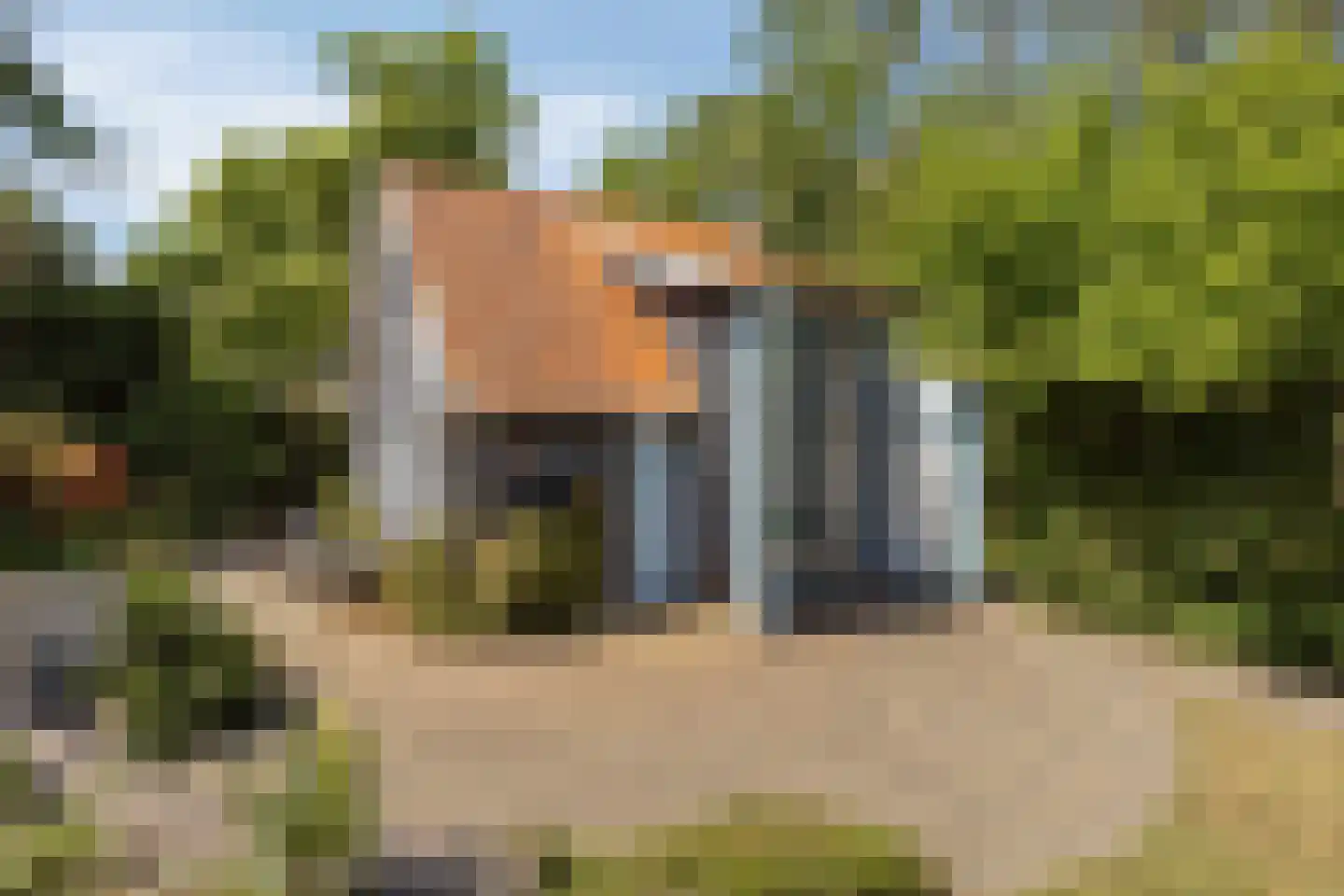Julianastraat 28 Burgh-Haamstede thumbnail 6