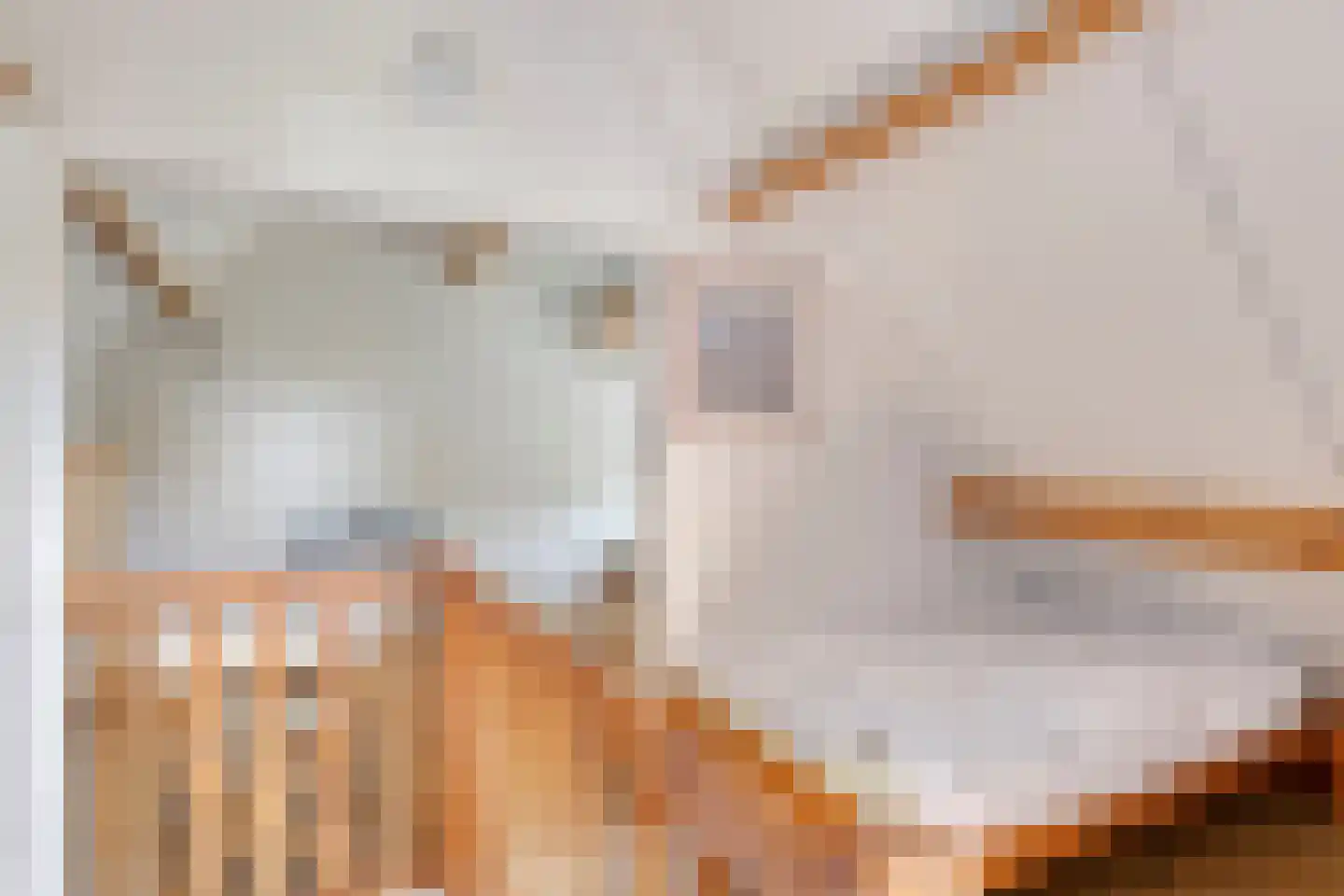 Julianastraat 28 Burgh-Haamstede thumbnail 68