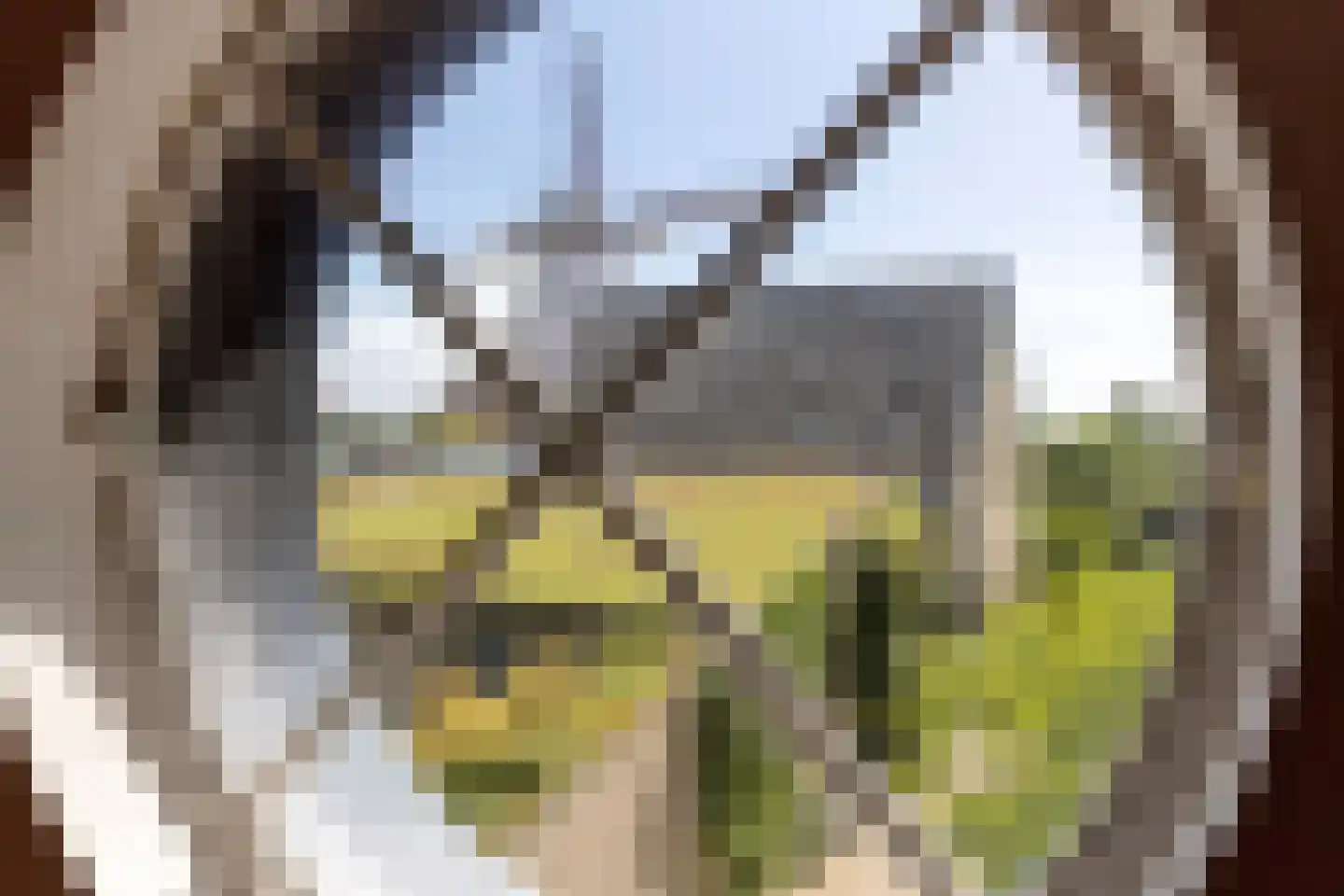 Julianastraat 28 Burgh-Haamstede thumbnail 70