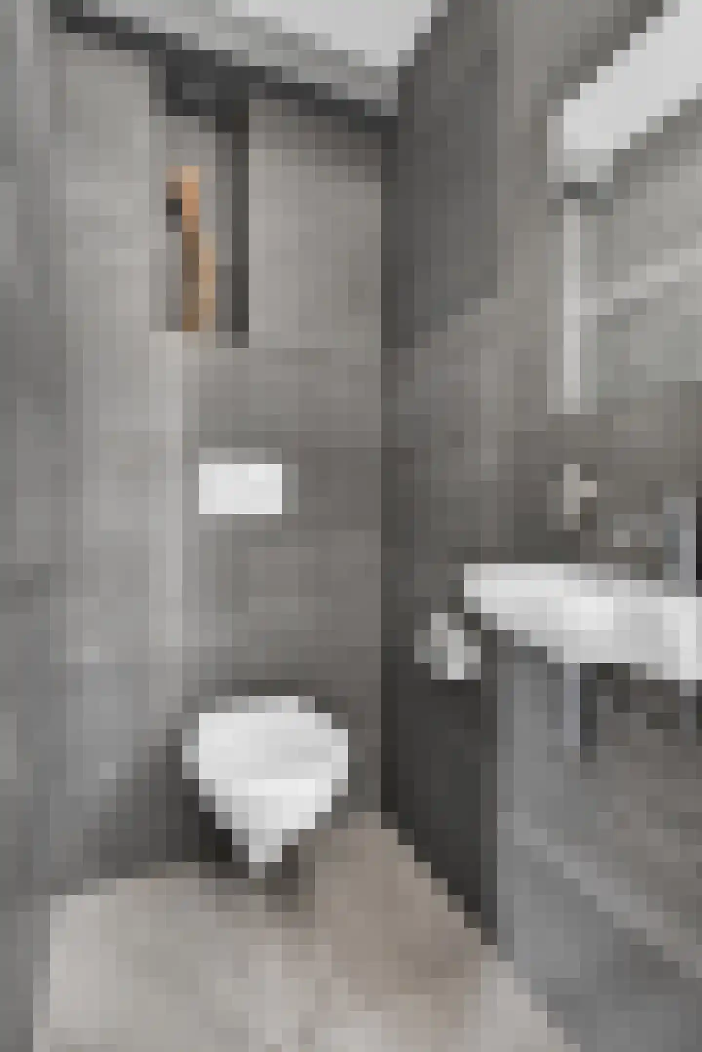 Julianastraat 28 Deurne thumbnail 12