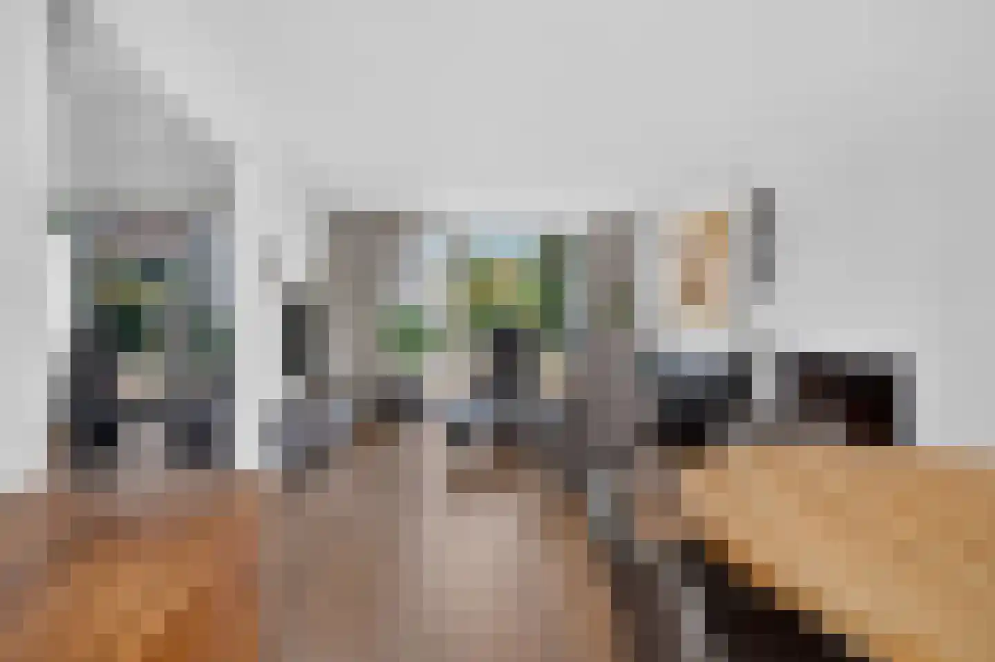Julianastraat 28 Deurne thumbnail 15