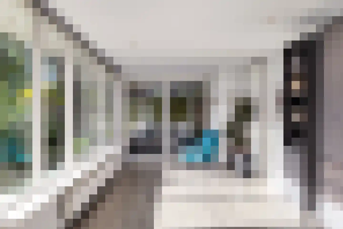 Julianastraat 28 Deurne thumbnail 19