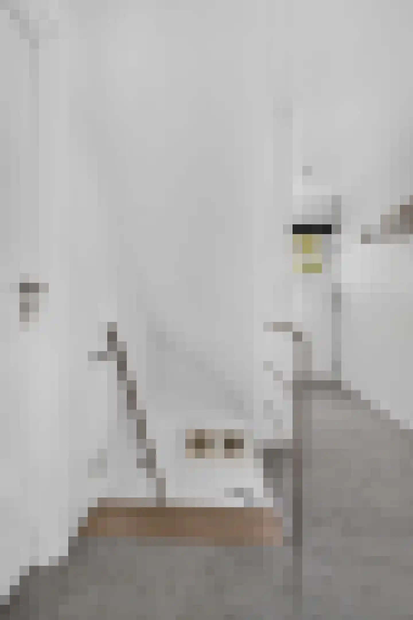 Julianastraat 28 Deurne thumbnail 27