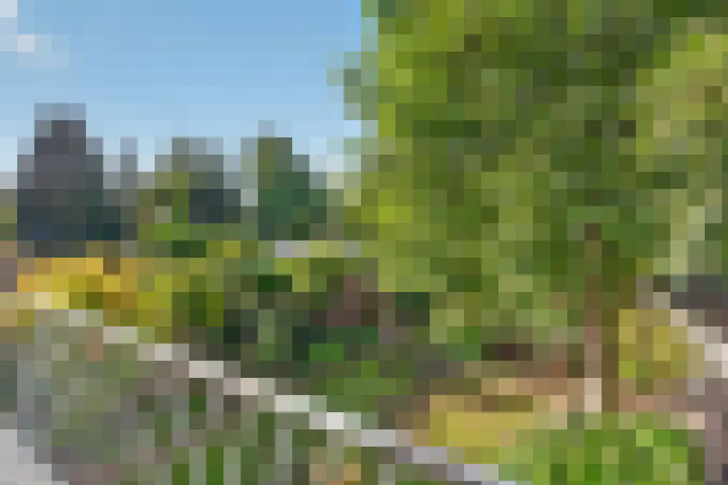 Julianastraat 28 Deurne thumbnail 32