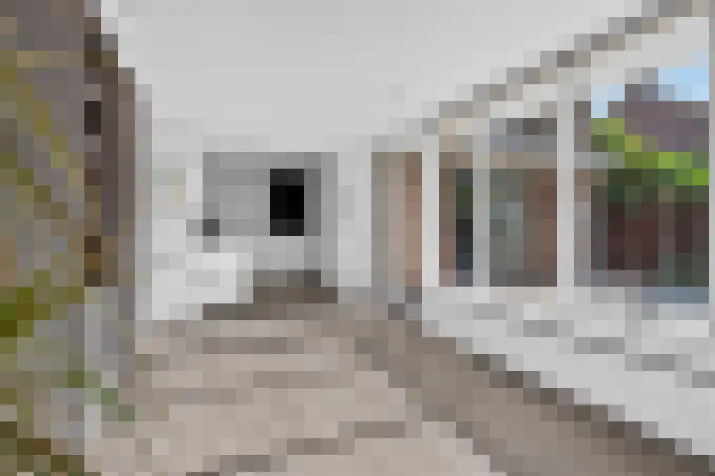 Julianastraat 28 Deurne thumbnail 4
