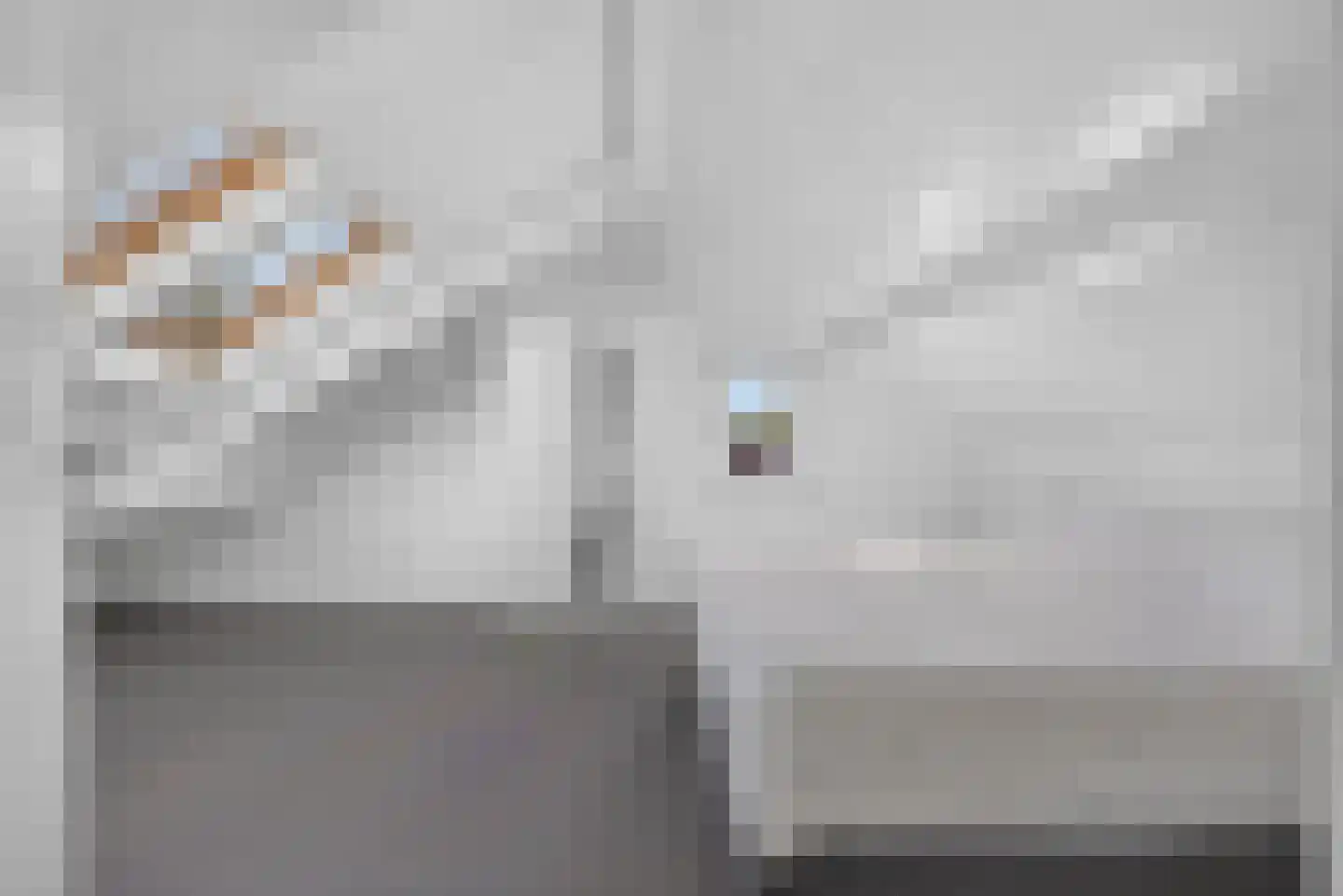 Julianastraat 28 Deurne thumbnail 40