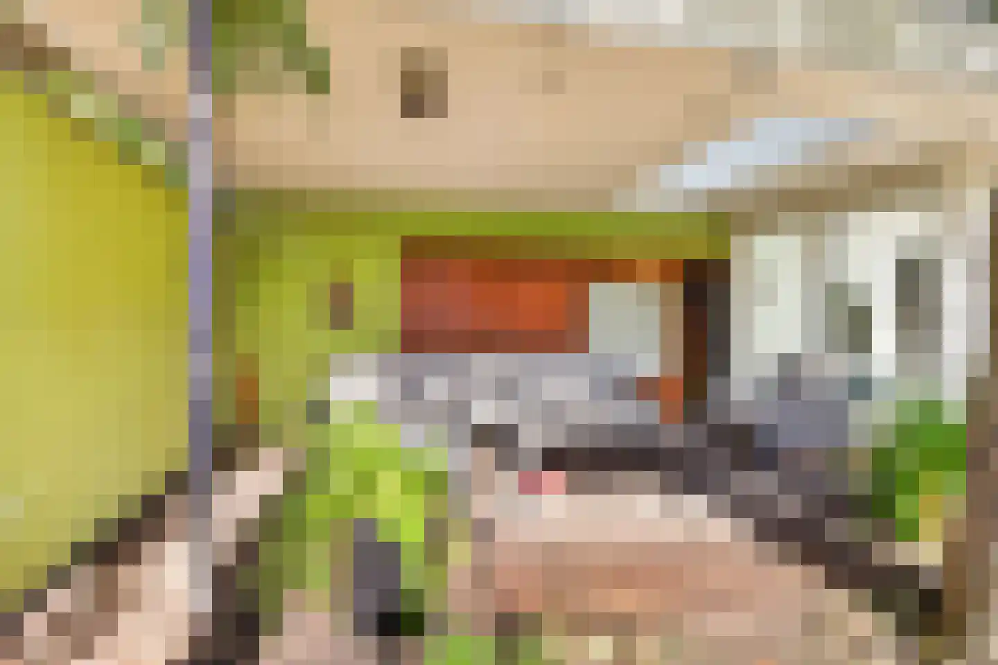 Julianastraat 28 Deurne thumbnail 48