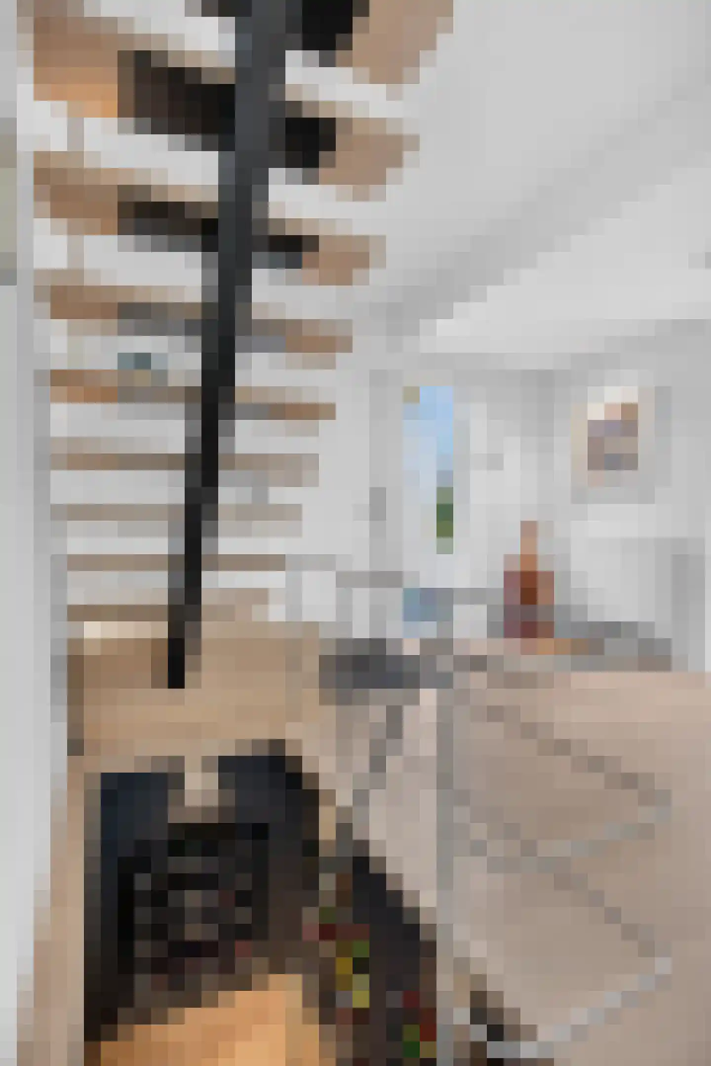 Julianastraat 28 Deurne thumbnail 5