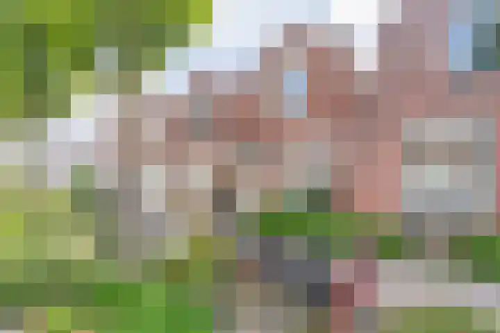 Julianastraat 28 Leiden thumbnail 22