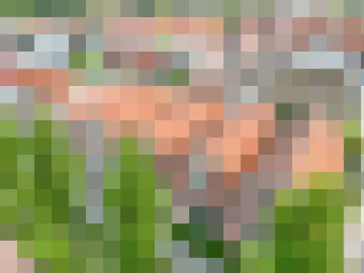 Julianastraat 28 Leiden thumbnail 23