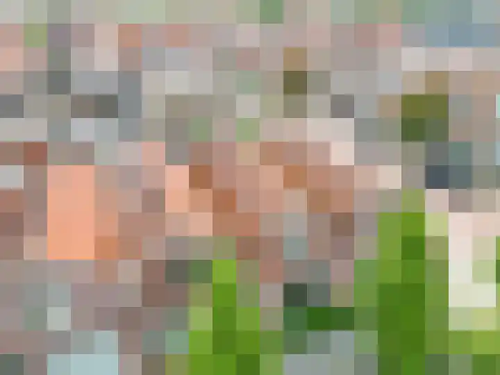 Julianastraat 28 Leiden thumbnail 24