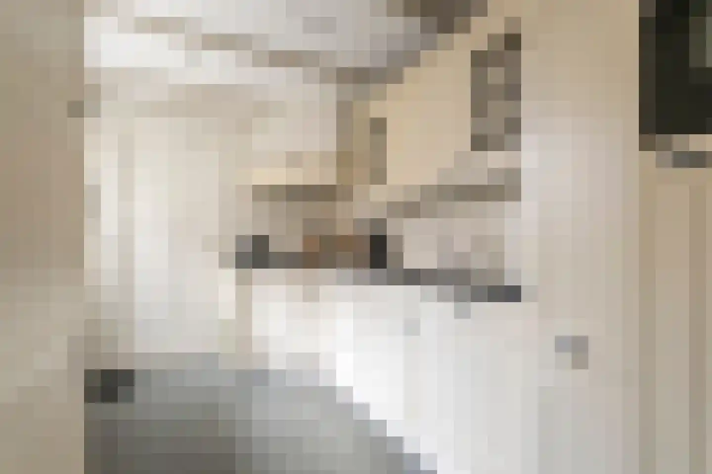 Julianastraat 28 Meppel thumbnail 11