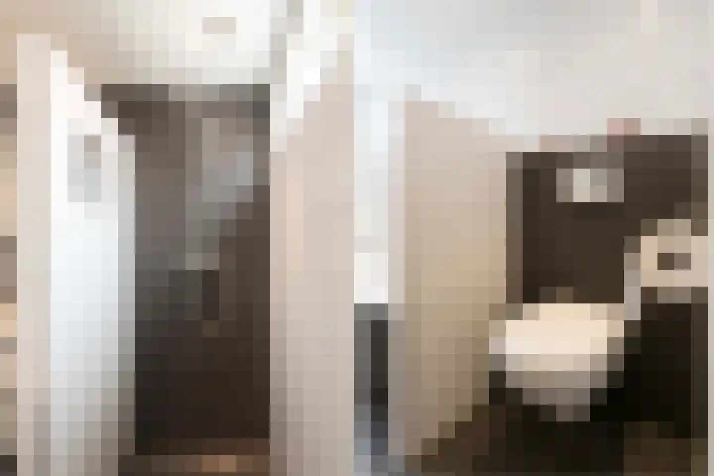 Julianastraat 28 Meppel thumbnail 18