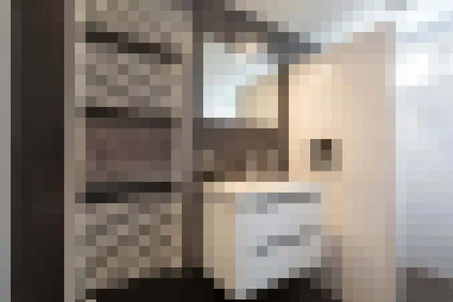 Julianastraat 28 Meppel thumbnail 19