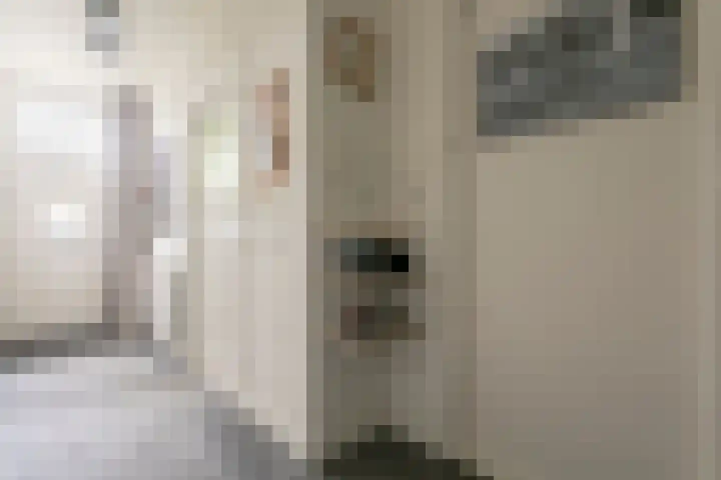Julianastraat 28 Meppel thumbnail 20
