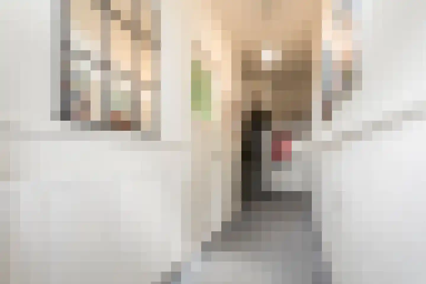 Julianastraat 28 Meppel thumbnail 21