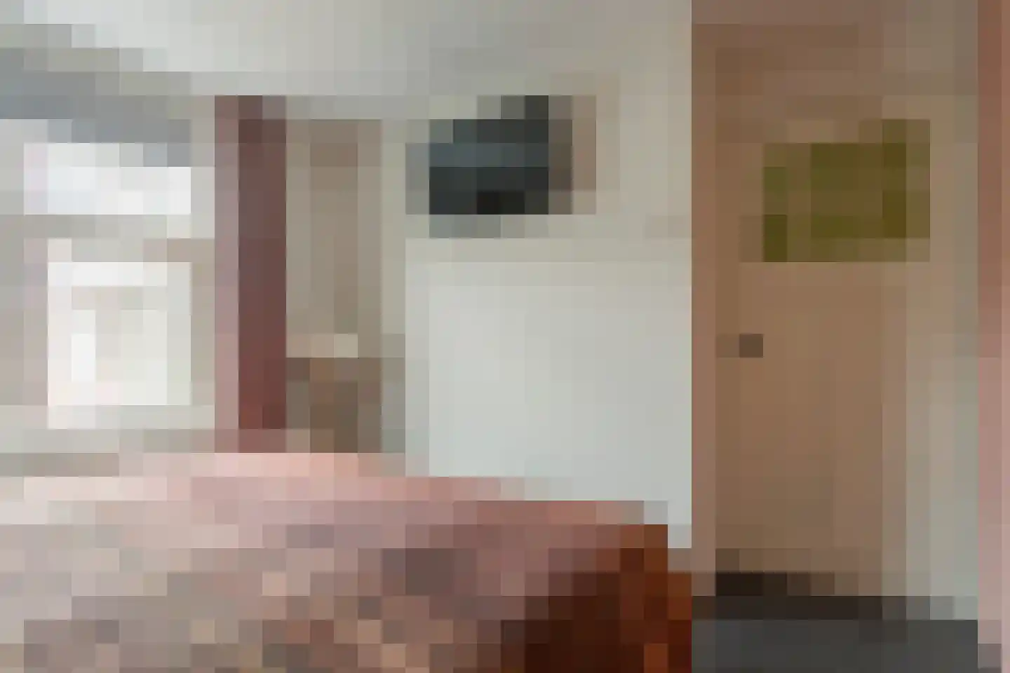 Julianastraat 28 Meppel thumbnail 25