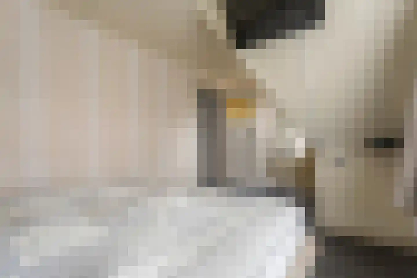Julianastraat 28 Meppel thumbnail 27