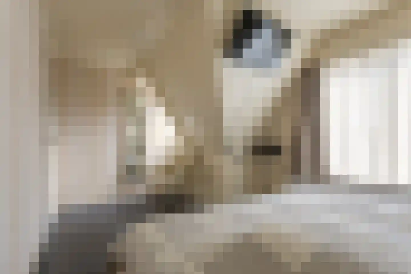 Julianastraat 28 Meppel thumbnail 28