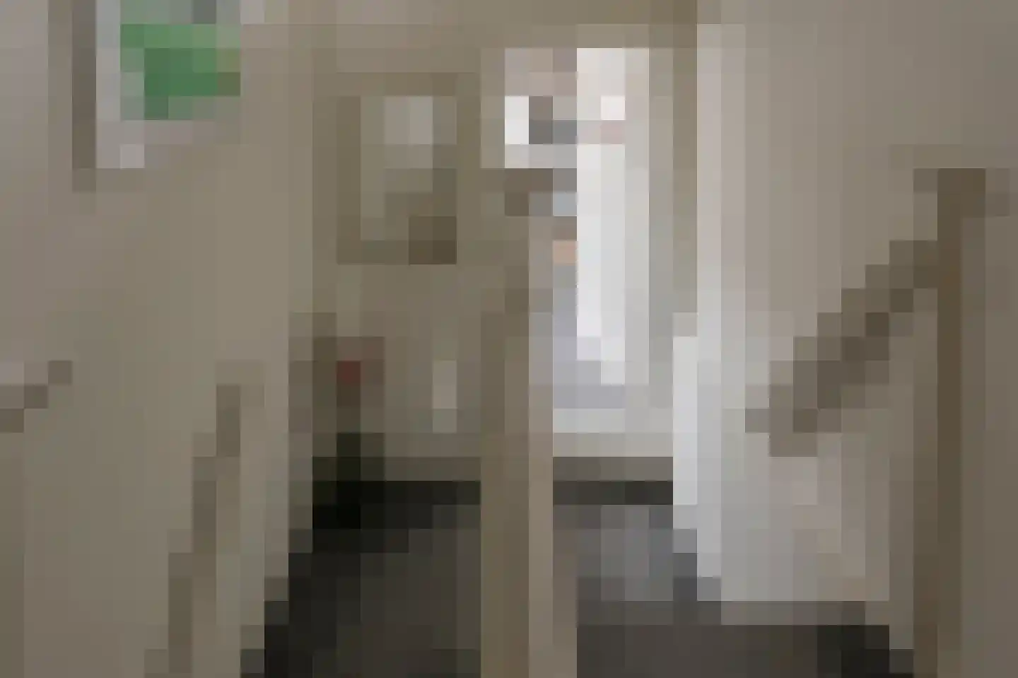 Julianastraat 28 Meppel thumbnail 31