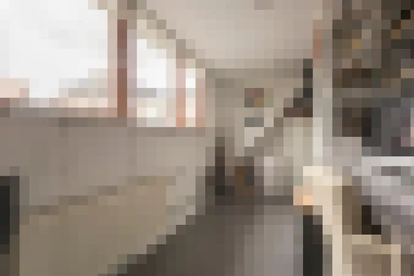 Julianastraat 28 Meppel thumbnail 32