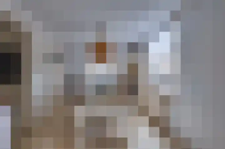 Julianastraat 28 Ooltgensplaat thumbnail 10
