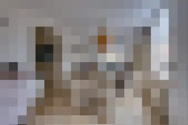Julianastraat 28 Ooltgensplaat thumbnail 11