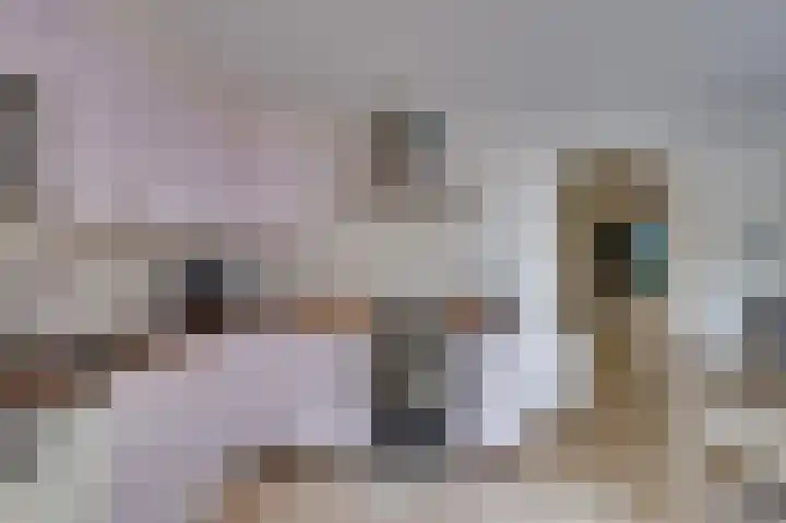 Julianastraat 28 Ooltgensplaat thumbnail 13