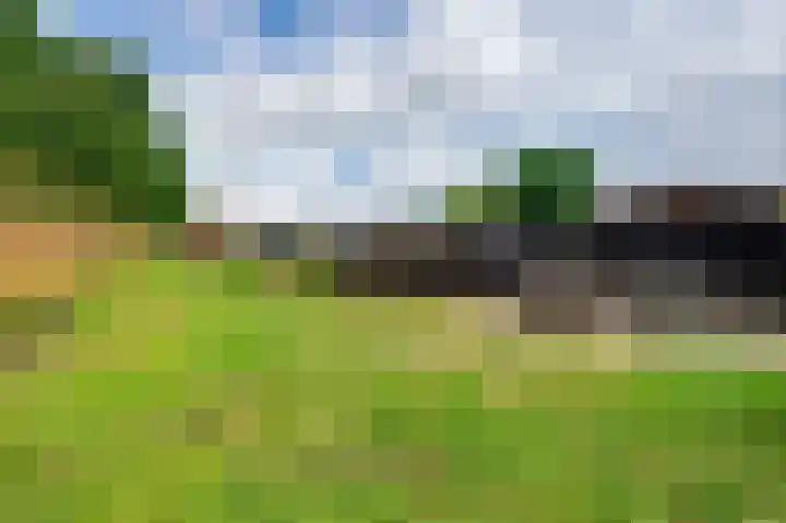 Julianastraat 28 Ooltgensplaat thumbnail 19