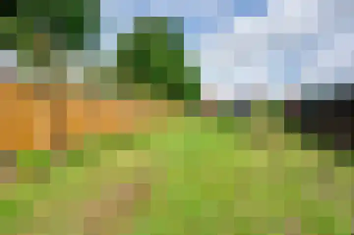 Julianastraat 28 Ooltgensplaat thumbnail 20